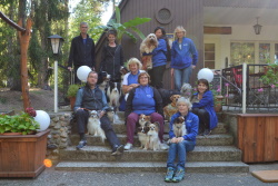 Der Verein Der Verein